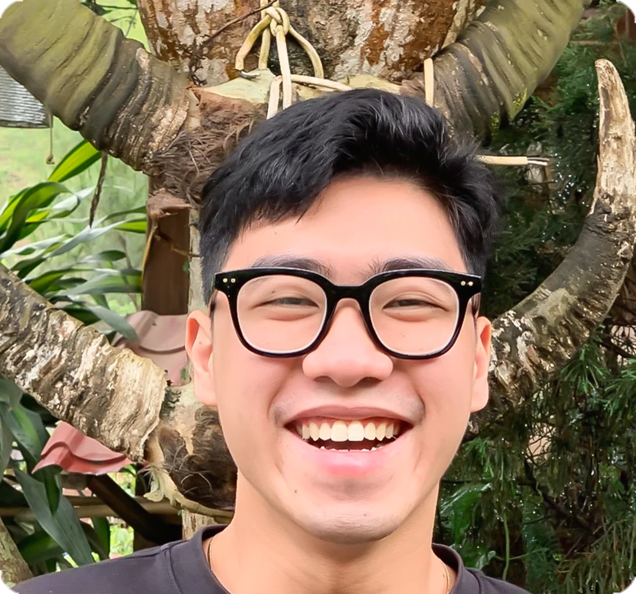 aligndental