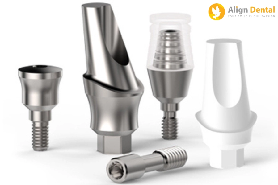 Abutment Là Gì? Bao Gồm Mấy Loại Và Giá Tiền Từng Loại