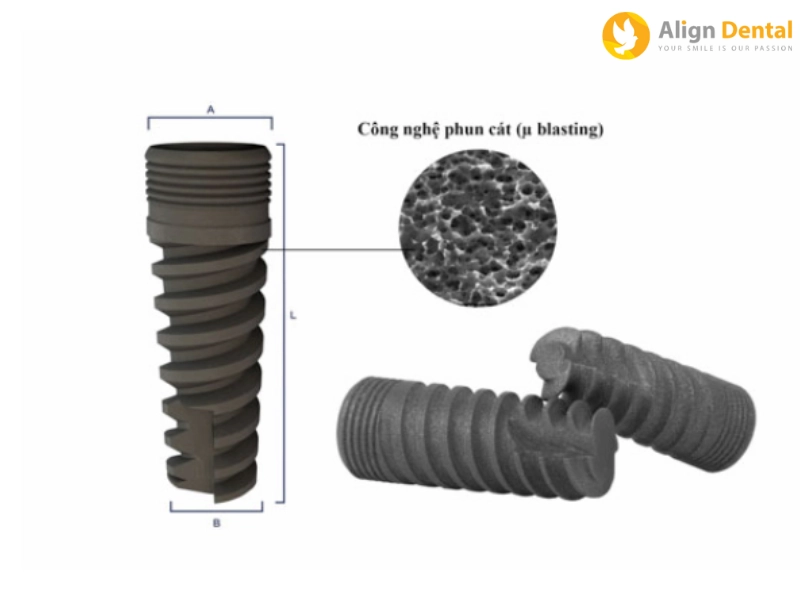 Cấu tạo của trụ Implant Brat